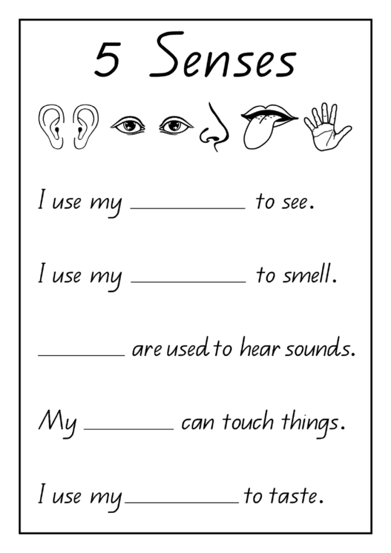 Easy Year 1 English Worksheets