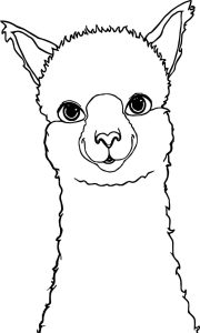 Alpaca Drawing Coloring Page Alpaca drawing, Animal coloring pages