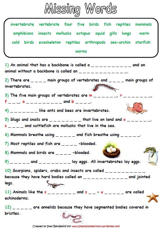 Classification Science Worksheets For Grade 3 Animals