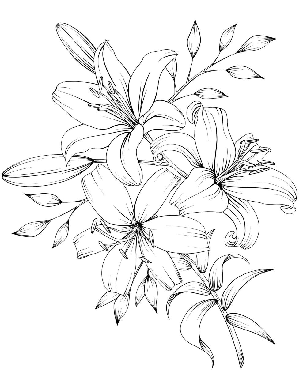 Birthday Party Colouring Pages
