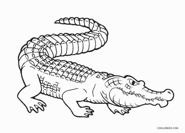 Alligator Coloring Book