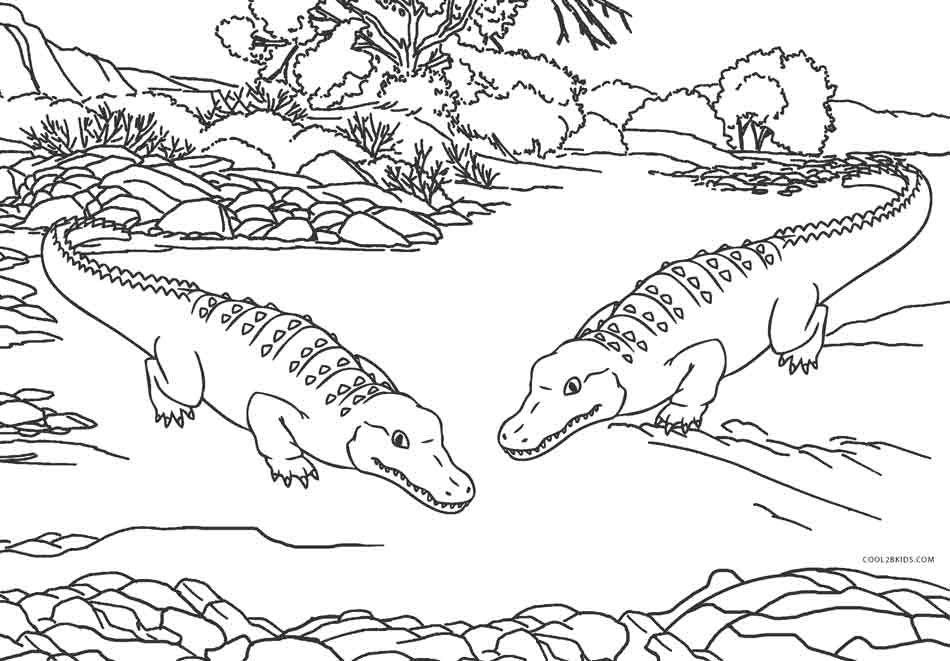 Free Printable Alligator Coloring Pages For Kids Cool2bKids