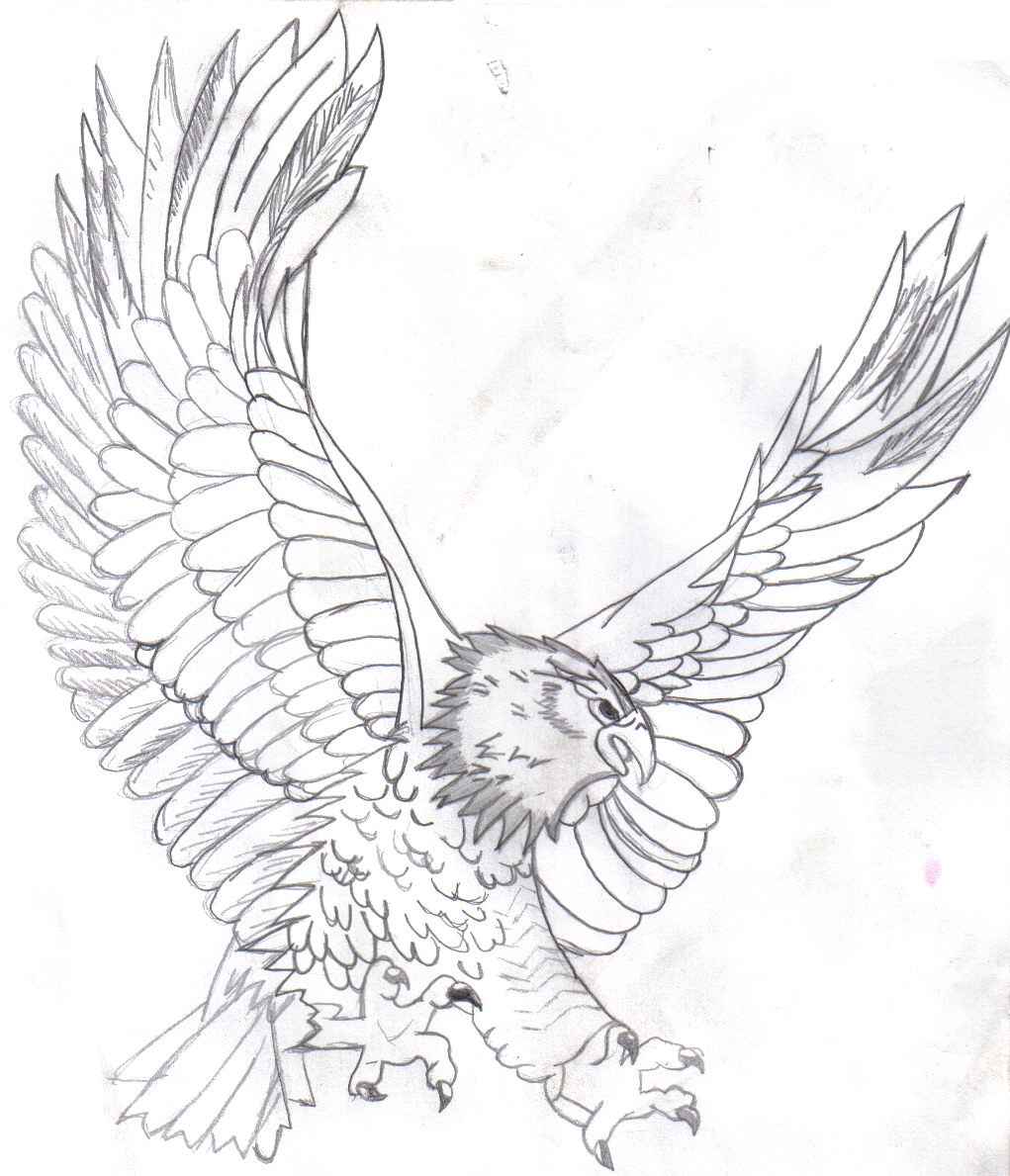 Free Printable Bald Eagle Coloring Pages For Kids