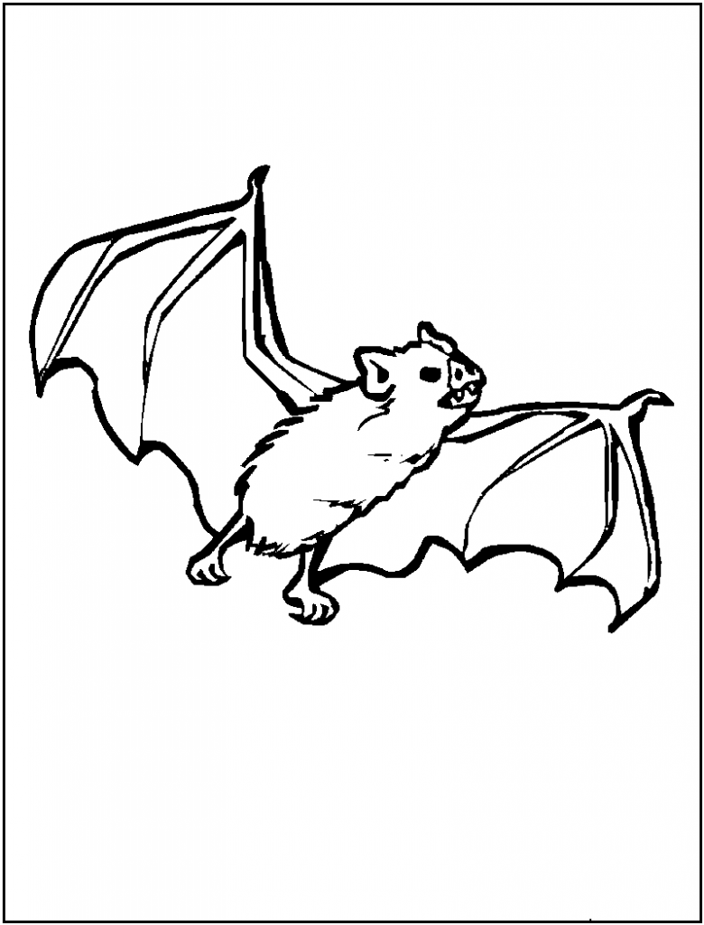 Bat Coloring Book