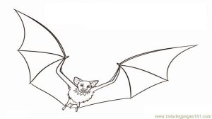 charming Bats Coloring Page for Kids Free Bat Printable Coloring