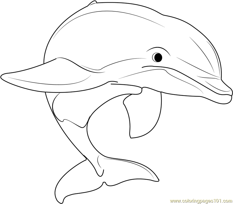 Beautiful Dolphins Coloring Page for Kids Free Dolphin Printable
