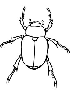 Free Beetles coloring pages. Download and print Beetles coloring pages
