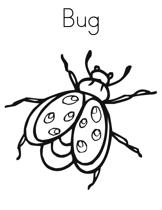 Bug Coloring Pages Free Printables