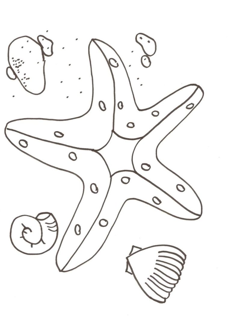 Coloring Pages Starfish