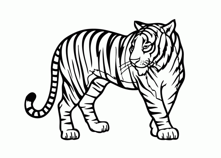 Coloring Pages Tiger
