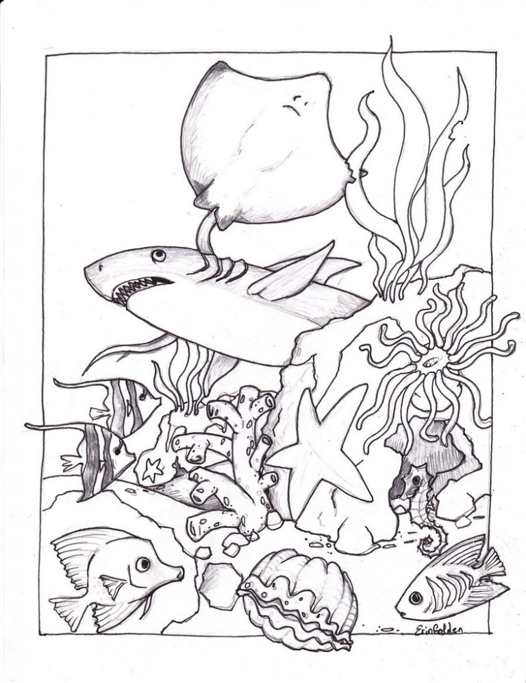 Free Printable Ocean Coloring Pages For Kids