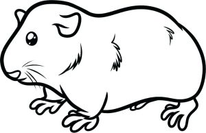 Guinea Pig Coloring Pages Best Coloring Pages For Kids