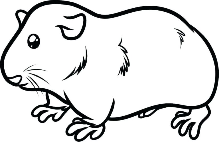 Coloring Pages Guinea Pigs