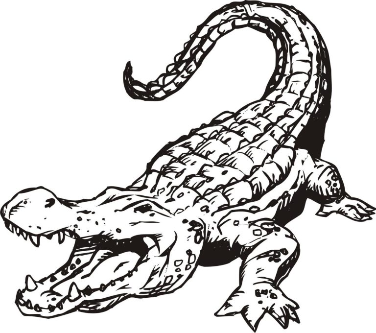 Coloring Pages Of Alligators
