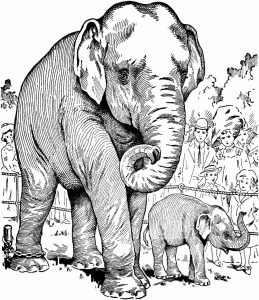 Elephant Coloring Pages for Adults Best Coloring Pages For Kids
