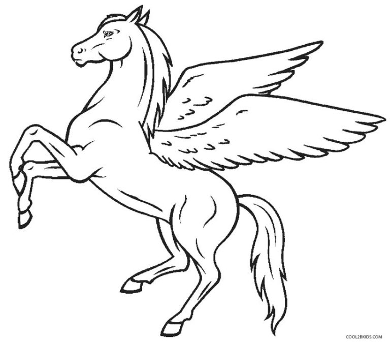 Pegasus Color Page
