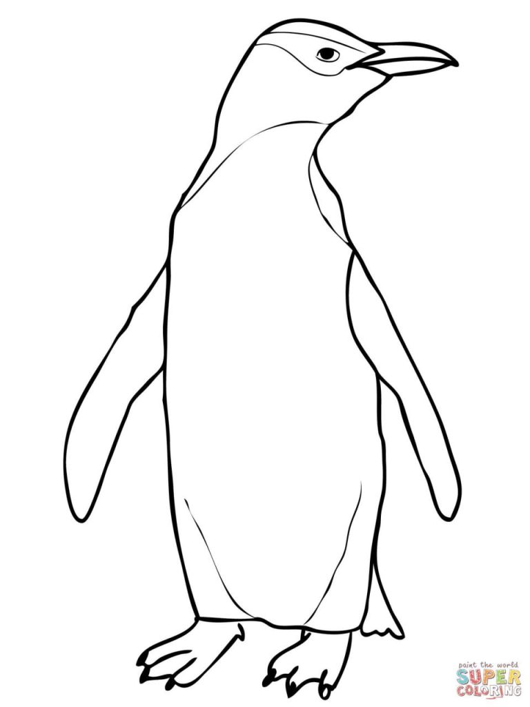 Penguin Color Page