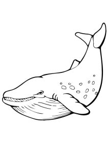 Coloring pages Coloring pages Right Whale, printable for kids