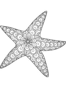 Starfish coloring pages for Adults Free Download and Print