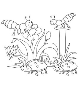 Spring Coloring Sheets Coloringnori Coloring Pages for Kids