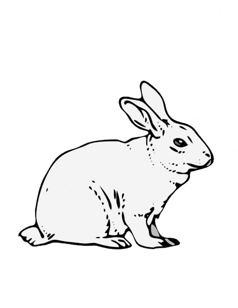 Bunny Color Page Printable