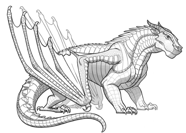 Wings Of Fire Coloring Pages Rainwing