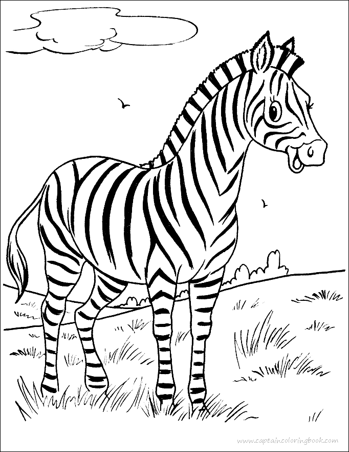 Zebra Coloring Page Pdf