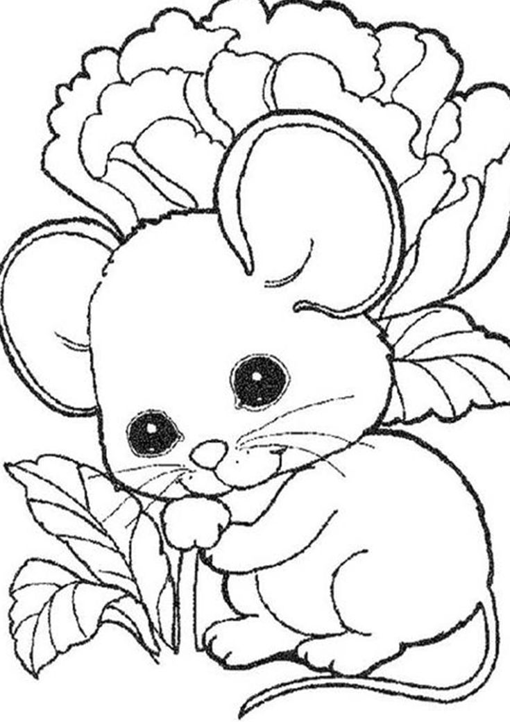 Cute Animal Coloring Pages Online