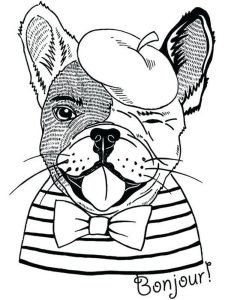Cute Bulldog Coloring Pages. Bulldog is a pet dog with specific