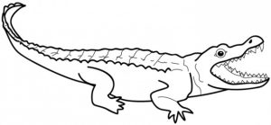 Get This Alligator Coloring Pages Free for Kids e9bnu