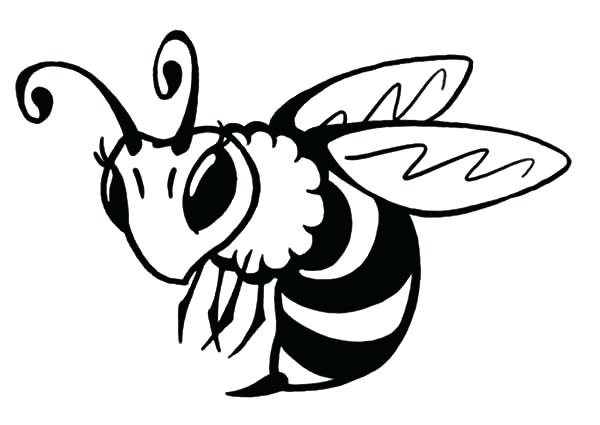 Bumblebee Coloring Pages Pdf
