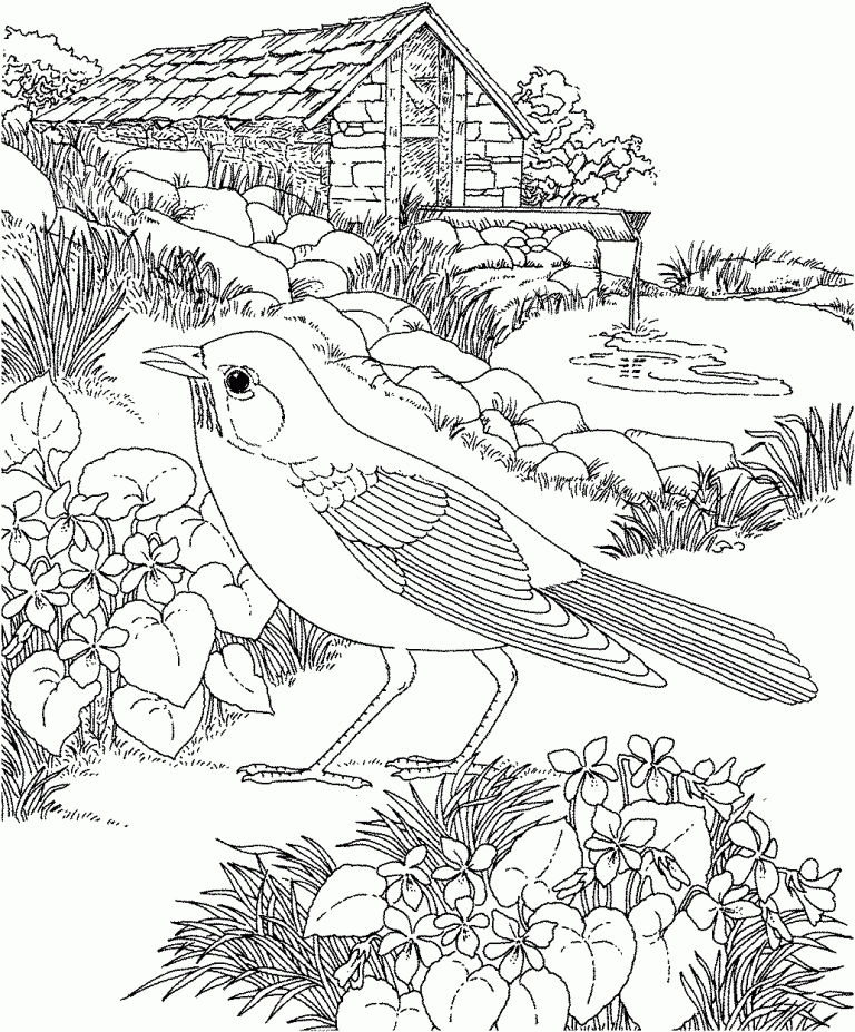 Coloring Pages Of Birds And Flowers