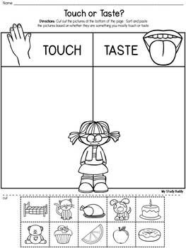 Kindergarden Five Senses Worksheets For Preschool Pdf
