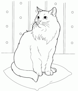 Domestic Cat Coloring Pages And Other Free Printable Coloring Themes