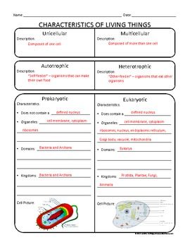 Mitosis And Meiosis Webquest Worksheet Answer Key