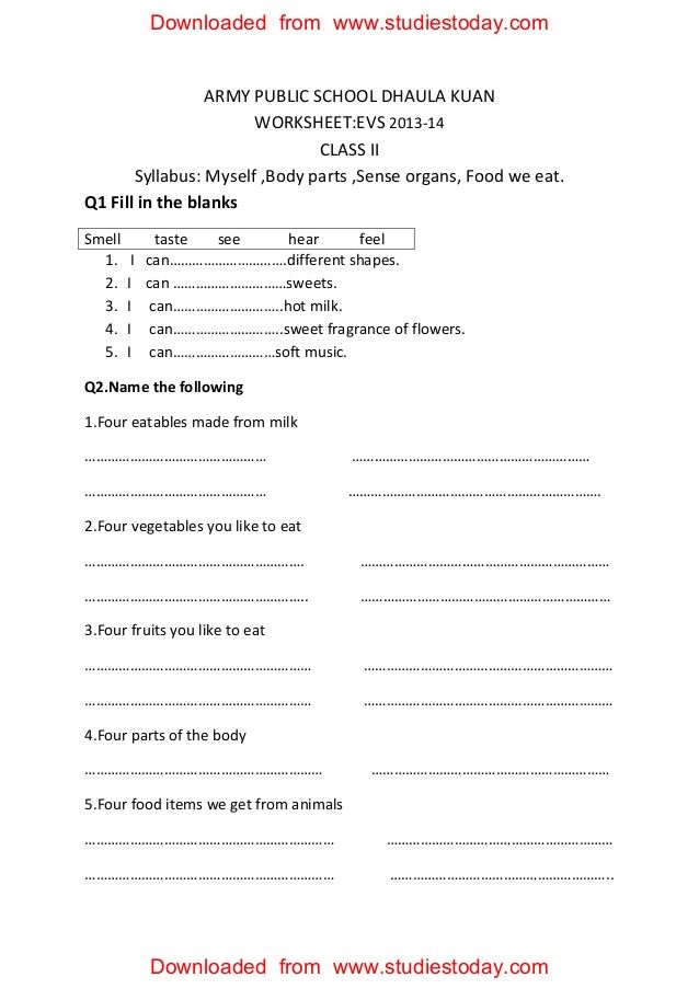 Worksheet For Class 2 Evs Sense Organs