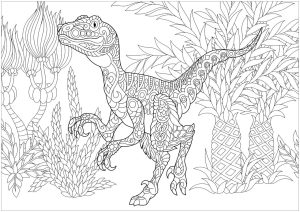 Velociraptor Dinosaurs Adult Coloring Pages