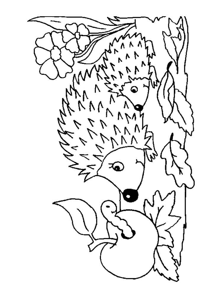 Coloring Pages Of Hedgehogs