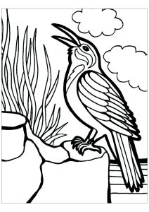 Birds to print for free Birds Kids Coloring Pages