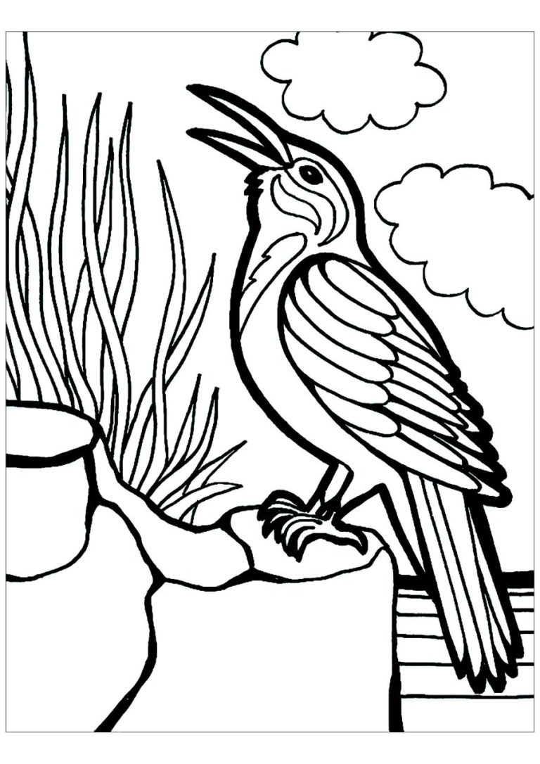 Coloring Pages With Birds