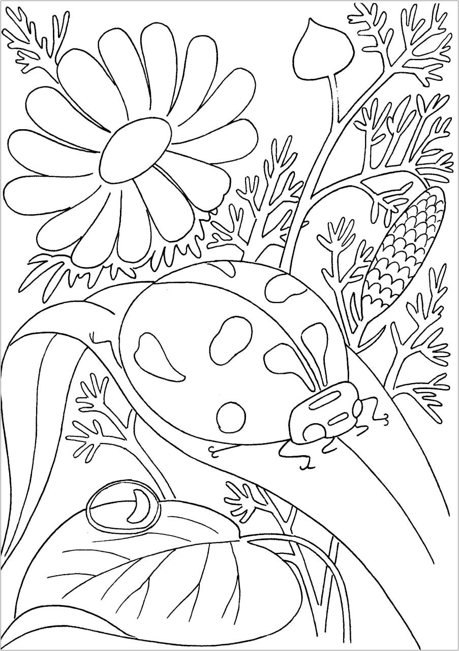 Hanukkah Colouring Pages Free