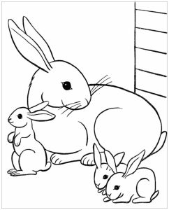Rabbit to download Rabbit Kids Coloring Pages