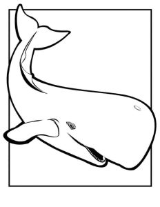 The Amazing Whale Coloring Pages PDF To Print Free Coloring Sheets