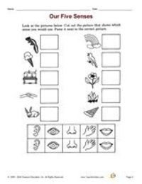 Free Printable Five Senses Worksheets For Preschool