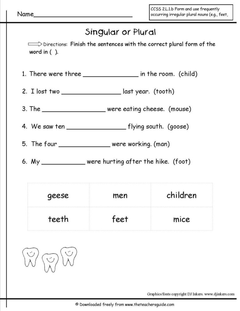 4th Grade Irregular Plural Nouns Worksheet