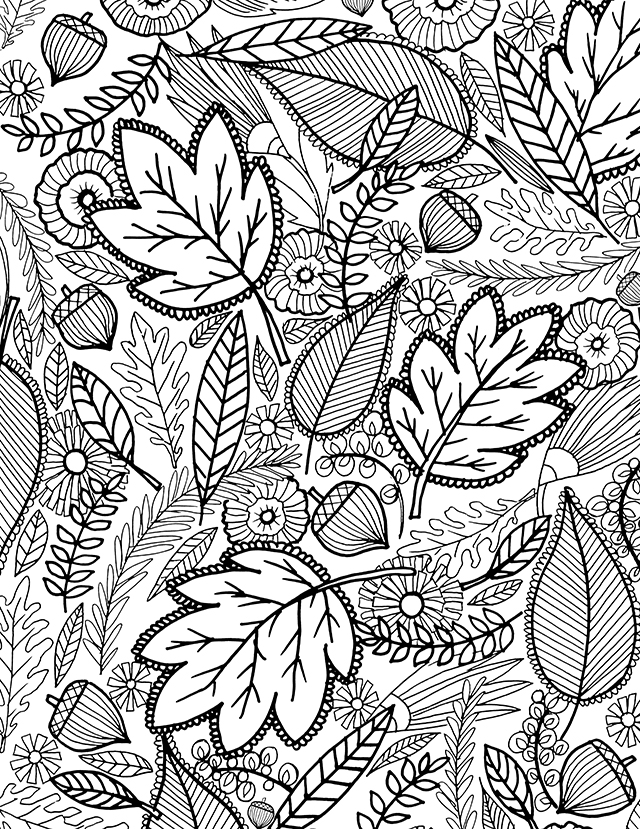 Free Printable Coloring Pages Fall