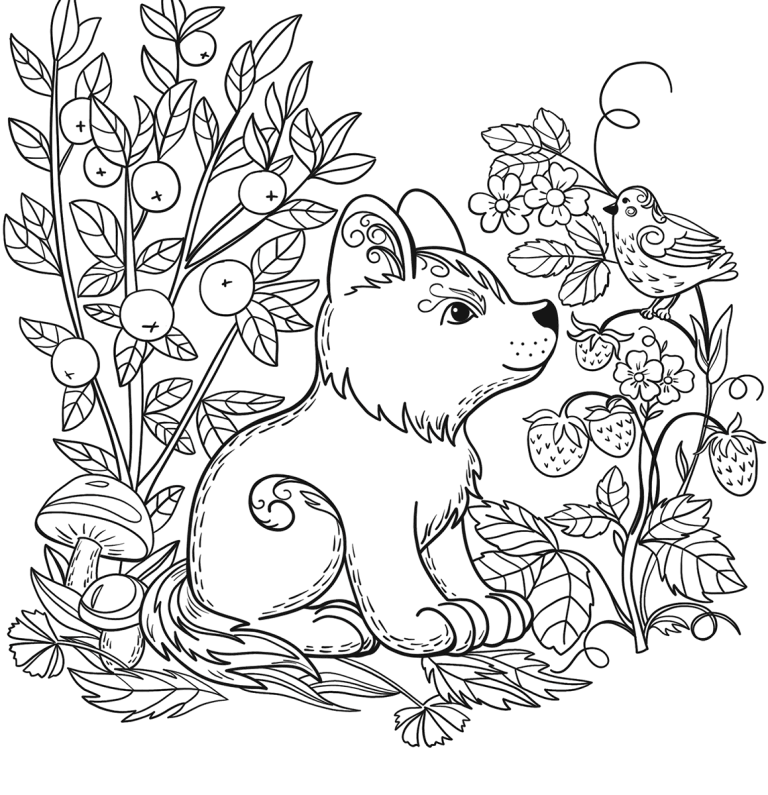 Coloring Pages Forest