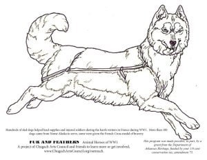 Husky Coloring Pages at GetDrawings Free download