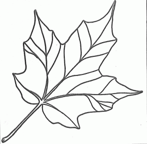 Traceable Leaf Patterns Coloring Home