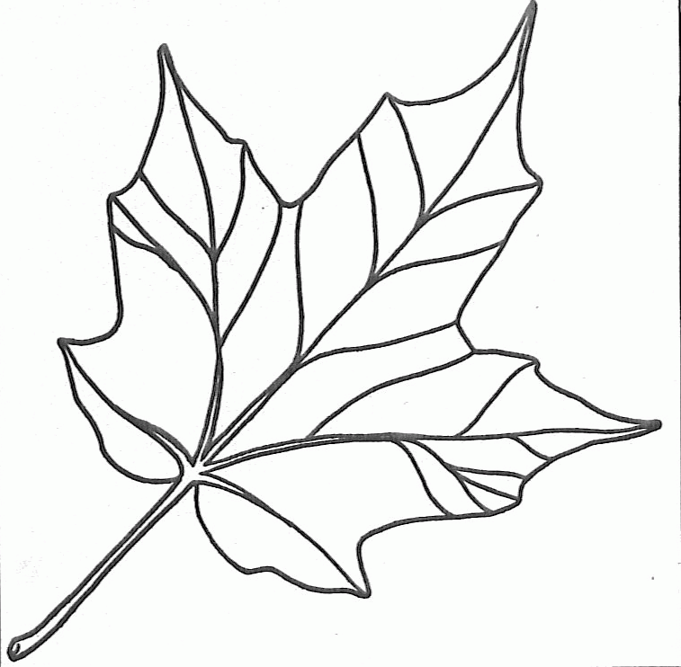 Leaf Coloring Pages Easy